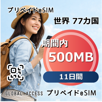 世界 77カ国 eSIM 500MB 11日間