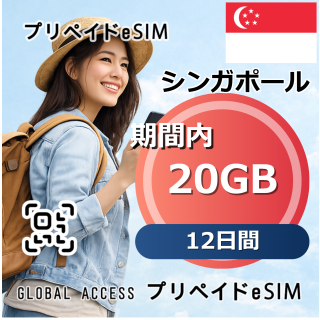 シンガポール 20GB 12日間