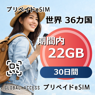 世界 36カ国 eSIM 22GB 30日間