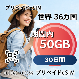 世界 36カ国 eSIM 50GB 30日間