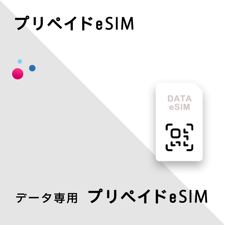 世界 46カ国 G 毎日 500MB / 1日間